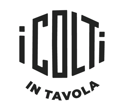 logo-IColti-new logo-IColti-new